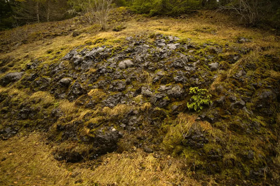 Evidence of Former Landscapes