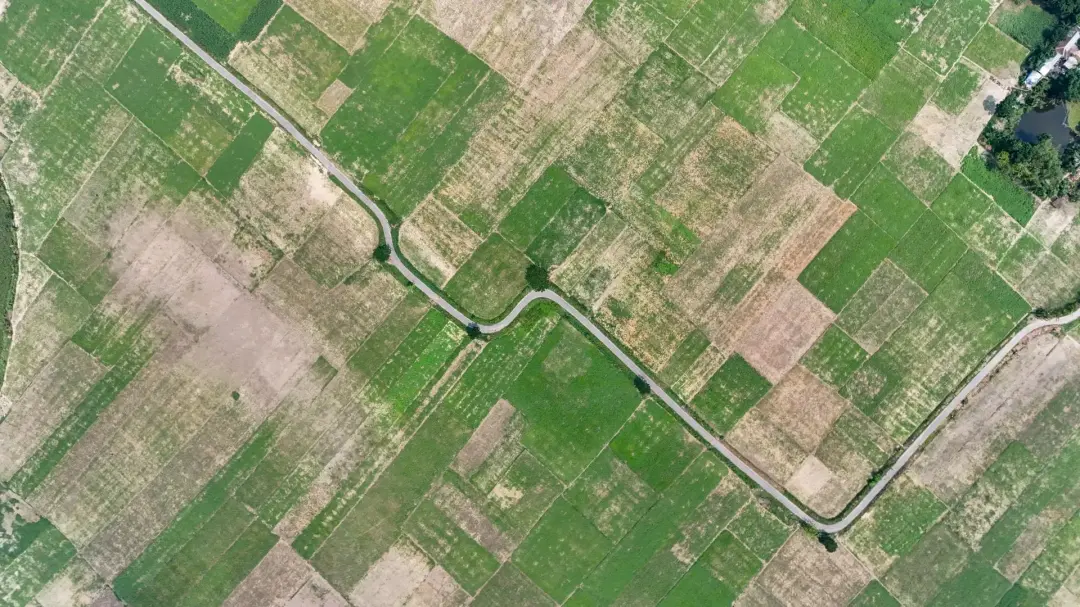 How Do Geophysical Surveys Detect Buried Features?