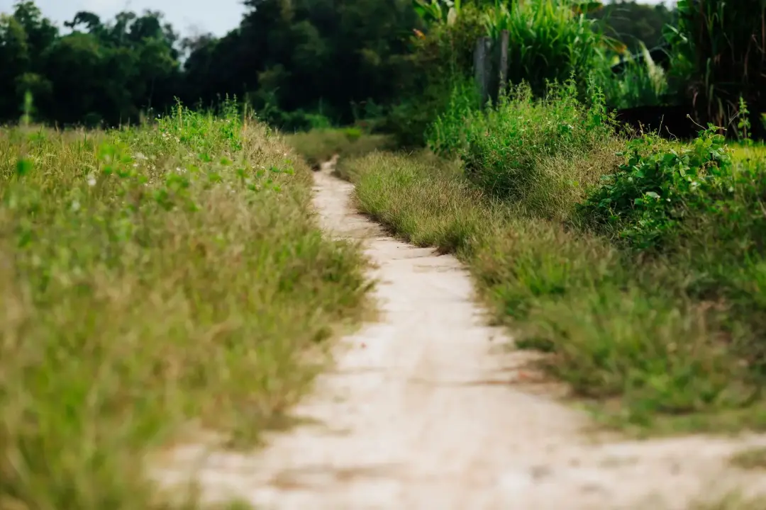 Roads, Tracks, and Pathways