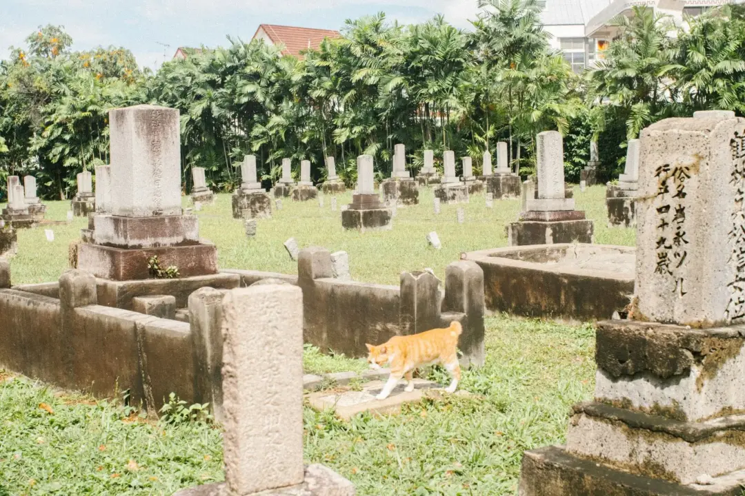 Burial Sites and Unmarked Graves