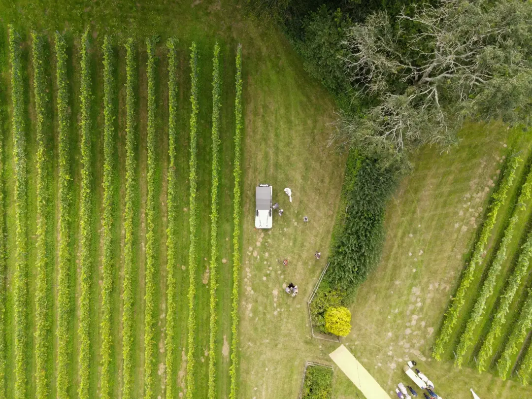 What Can a Geophysical Survey Detect?